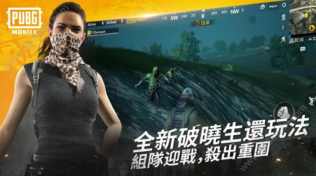 PUBG MOBILE Lite国际服