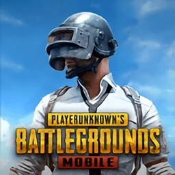 pubgm国际服 1.0