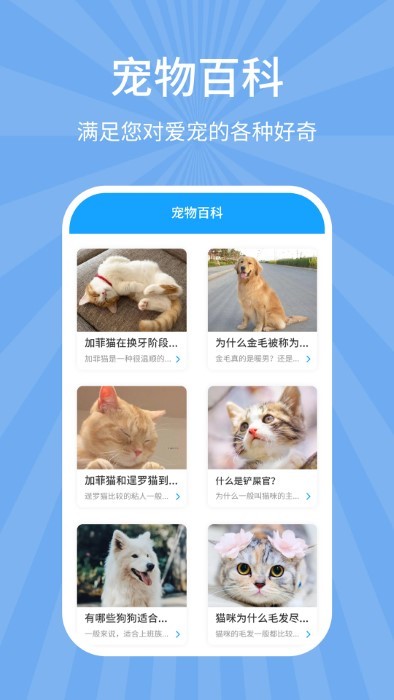 猫翻译器