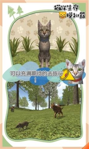 猫咪生存模拟器破解汉化版