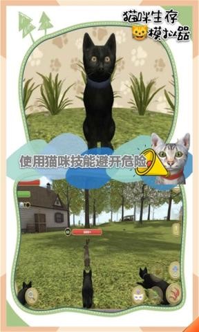 猫咪生存模拟器破解汉化版