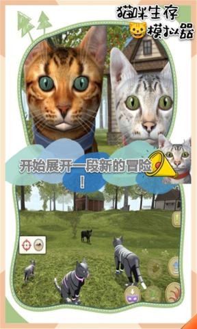 猫咪生存模拟器破解汉化版