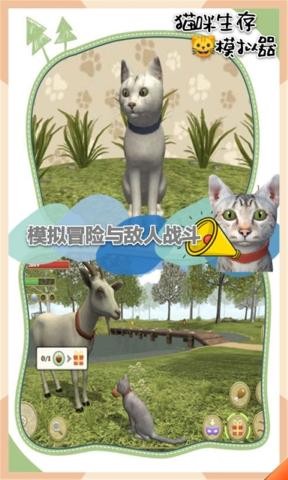 猫咪生存模拟器破解汉化版