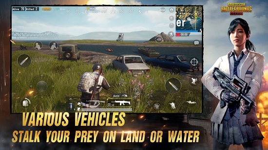 pubg体验服正版