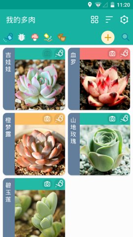 多肉成长记app