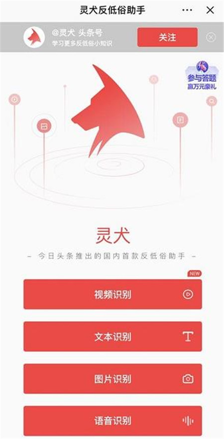 今日头条灵犬3.0