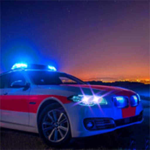 警车模拟器 1.0.6