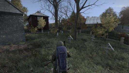 DayZ