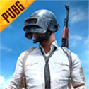 pubg测试服