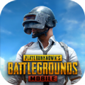 pubg国际服官方版2.8.0