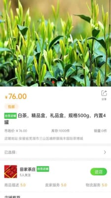 一灯茶网