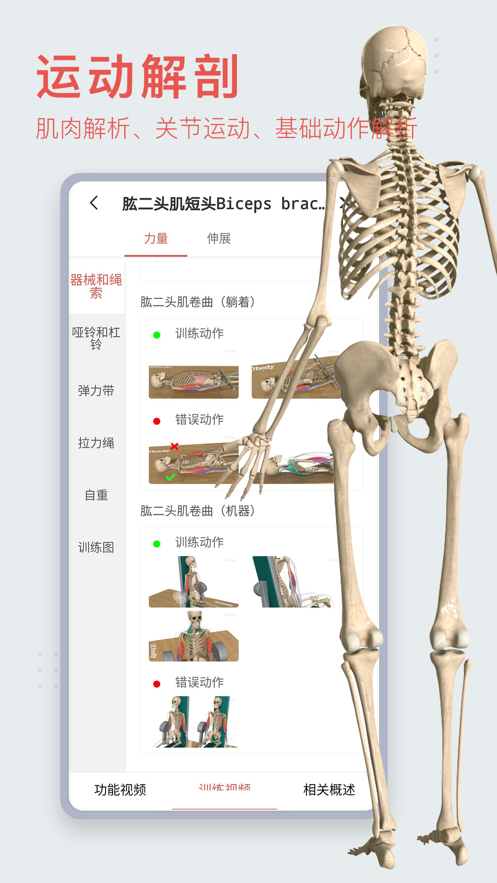 3dbody解剖图