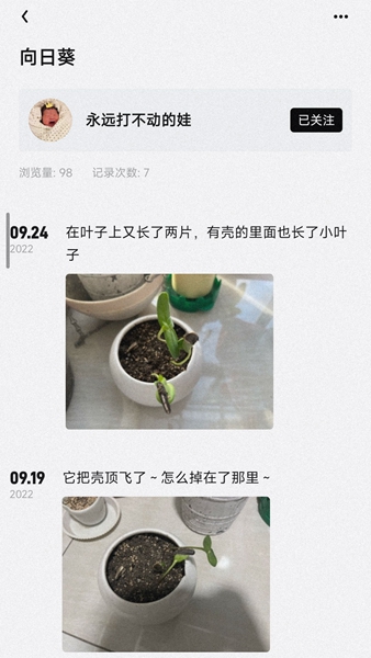 小植物记录