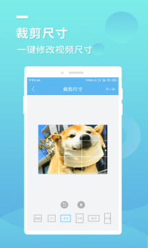 蓝莓去水印app