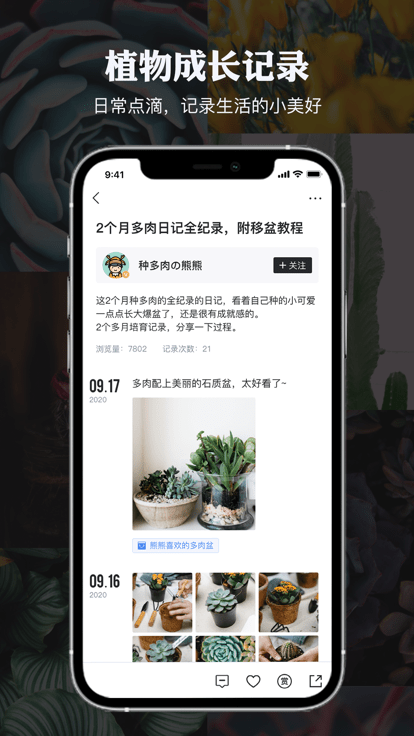 小植物