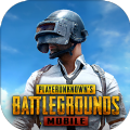 PUBG 1.0