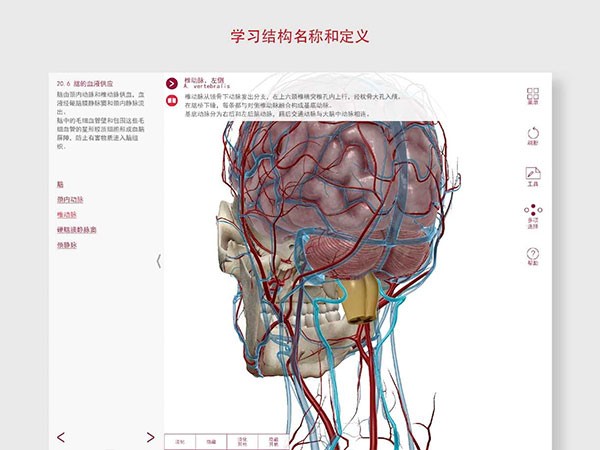 解剖和生理学