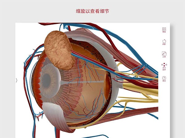 解剖和生理学