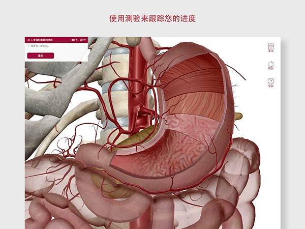 解剖和生理学