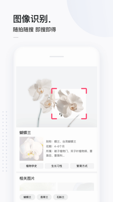 简单搜索app下载安装手机版